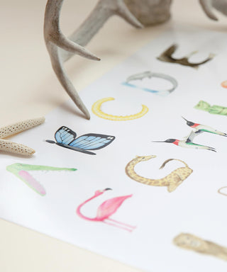Flat lay photo of the Animal Alphabet letters