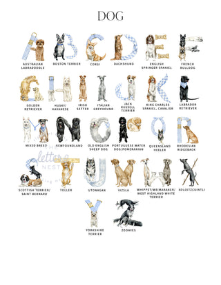 Labeled Letter Key with identifcations for all Dog Alphabet letters by The Letter Nest