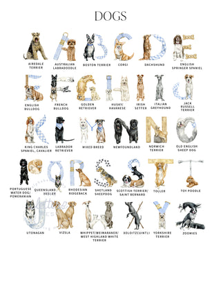 Letter Key for the Dog Alphabet by The Letter Nest