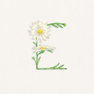 "E" for Erigeron Watercolor on a texture background, as a stand-in for Erin Stafiej, Operations Manager at The Letter Nest