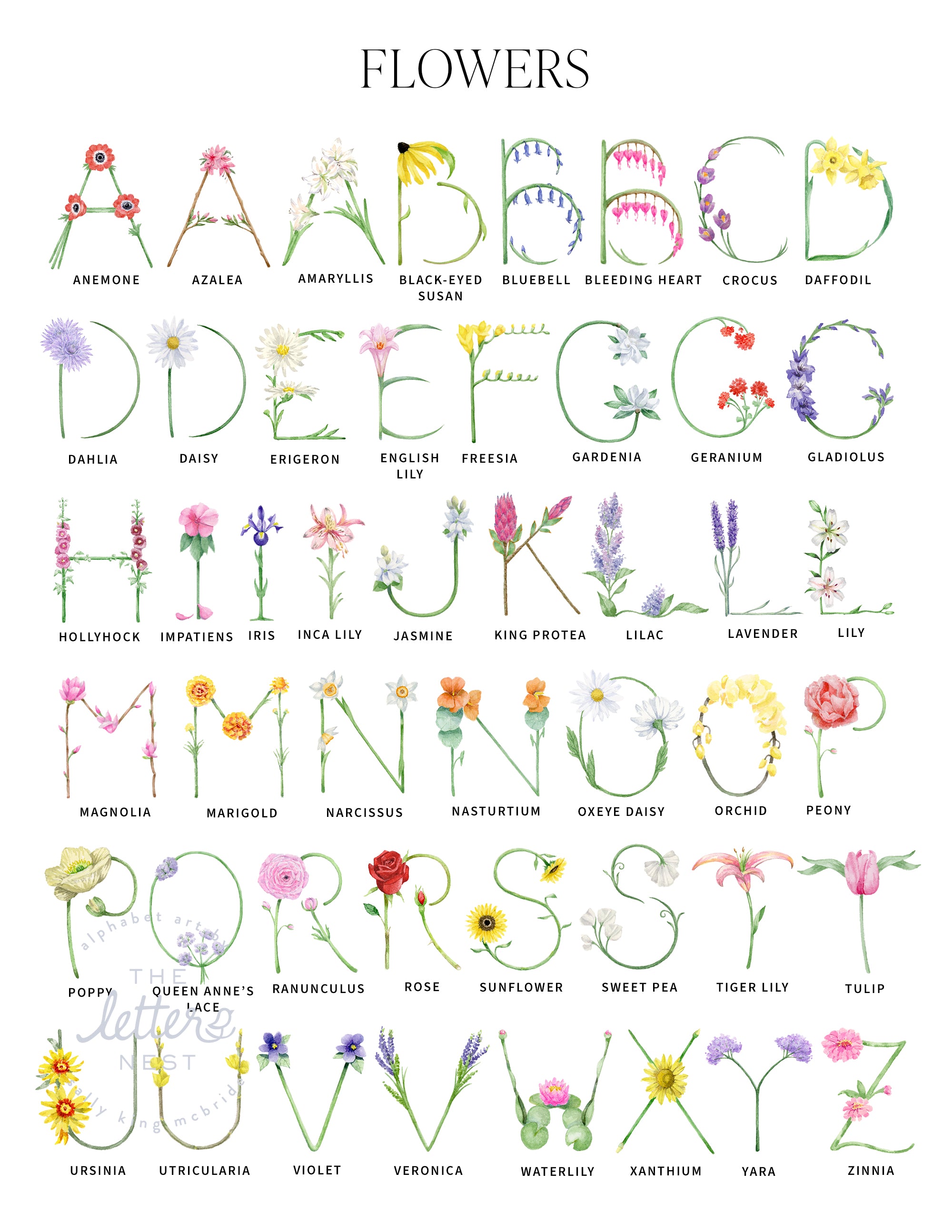 Custom Flower Name Prints by The Letter Nest in flatlay with various border options