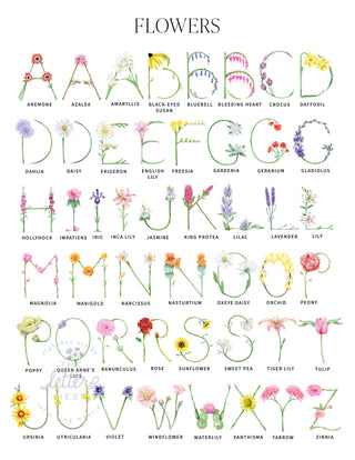 Flower Alphabet Letters with identification of each watercolor letter by The Letter Nest