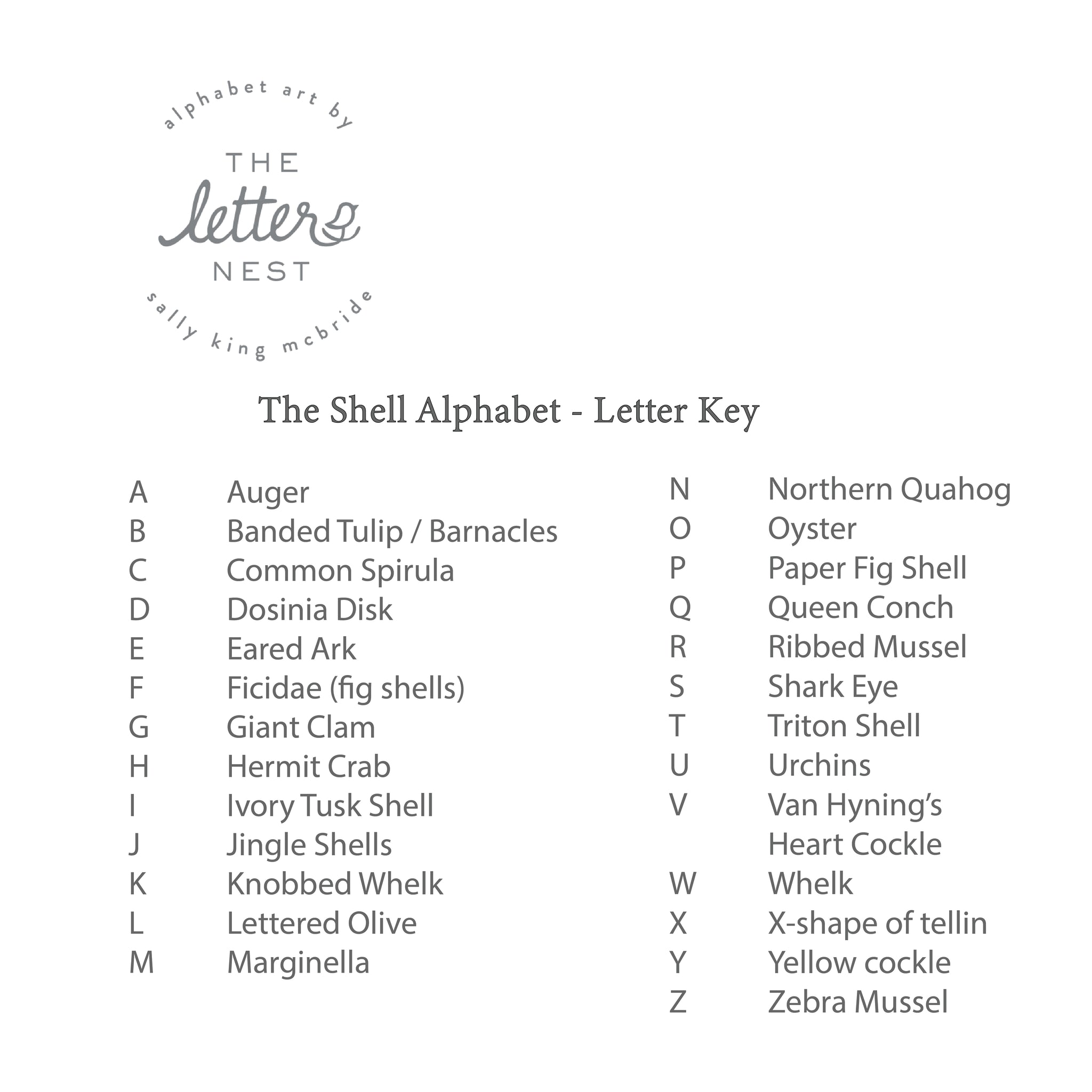 Shell Alphabet Print - The Letter Nest