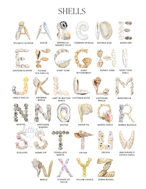 Shell Alphabet Letters for Customized Name & Monogram Prints by The Letter Nest