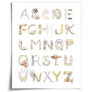 Unframed Shell Alphabet from The Letter Nest