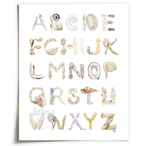 Unframed Shell Alphabet from The Letter Nest