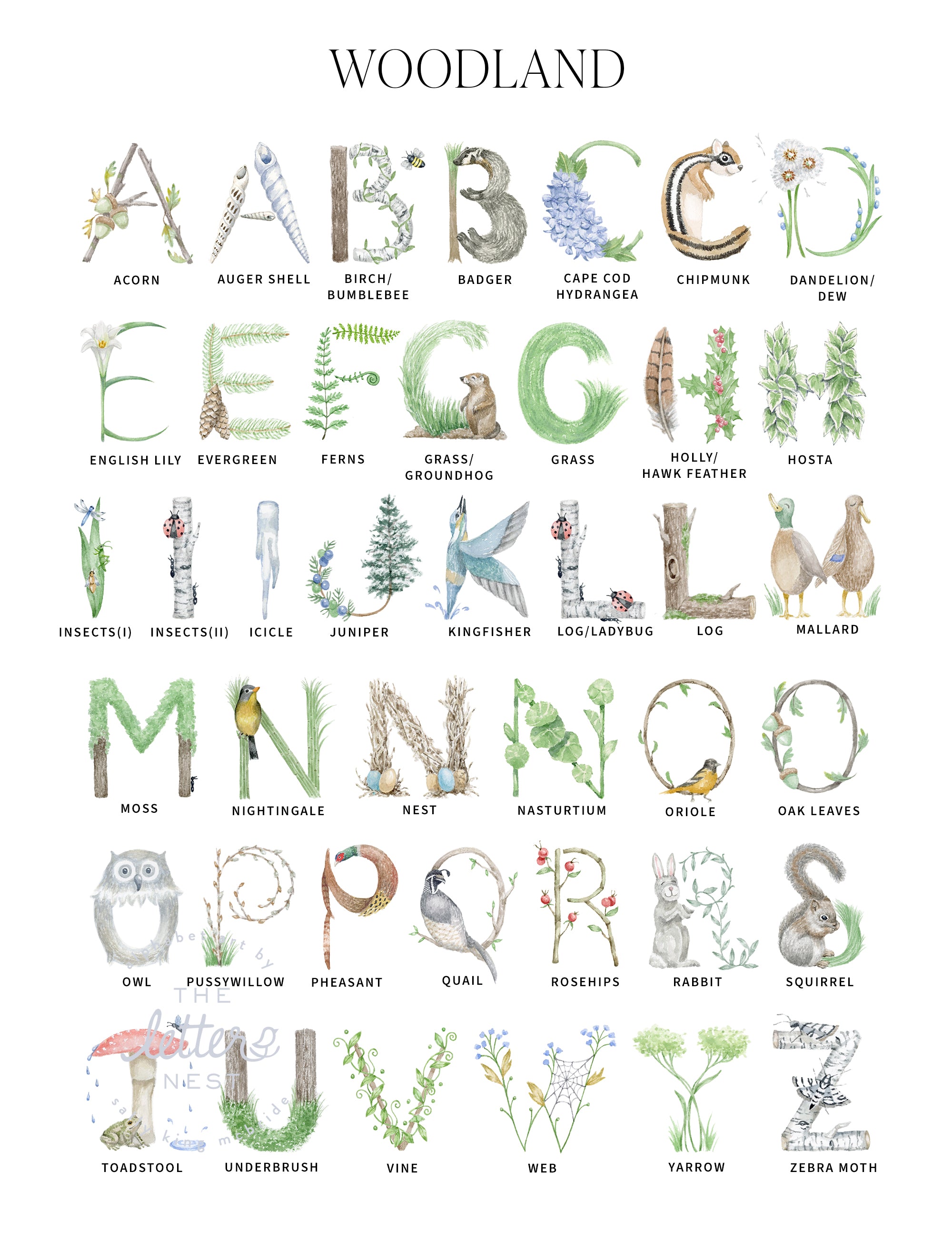 Woodland Alphabet Letters for Customized Stationery by The Letter Nest