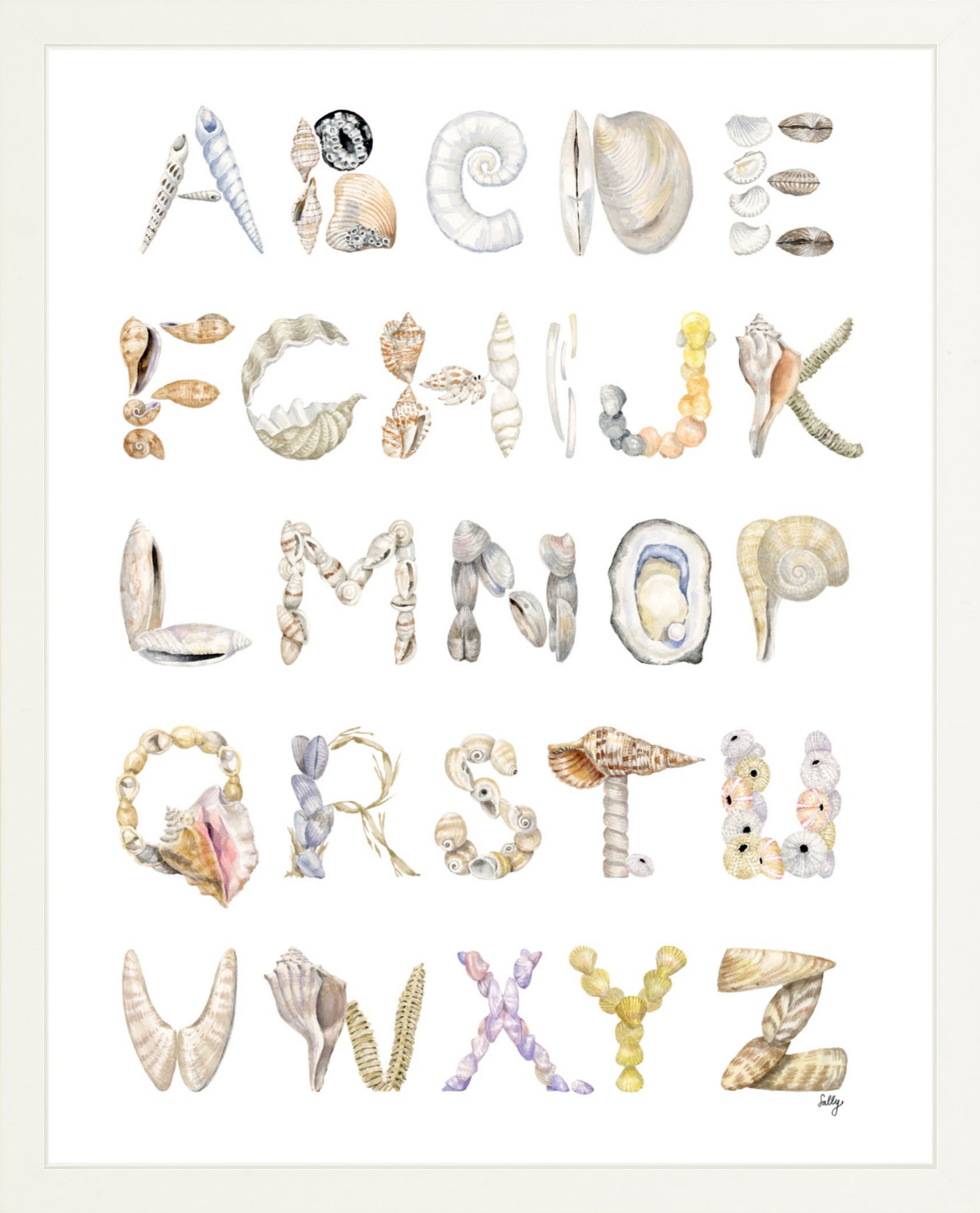 Shell Alphabet Print - The Letter Nest
